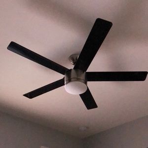 Meet your Posher, Steven